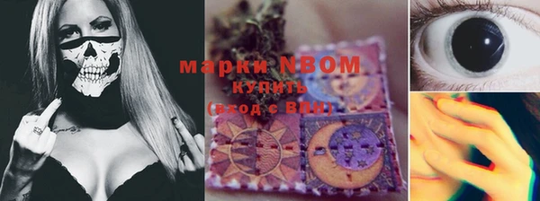 мдпв Дмитриев