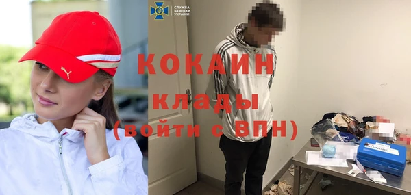 молекула духа Дмитровск