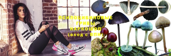 меф VHQ Гусев