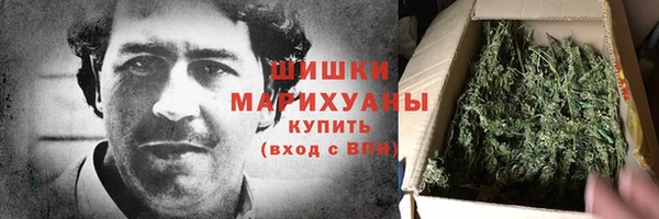 мдпв Дмитриев