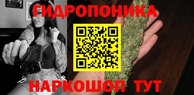 гашиш Сланцы