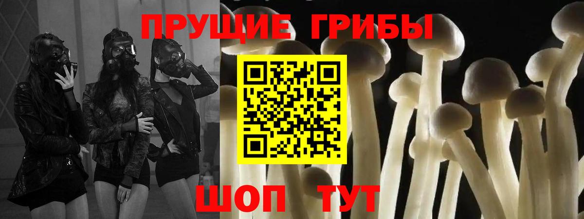 Галлюциногенные грибы прущие грибы  Вход с VPN  Саяногорск 